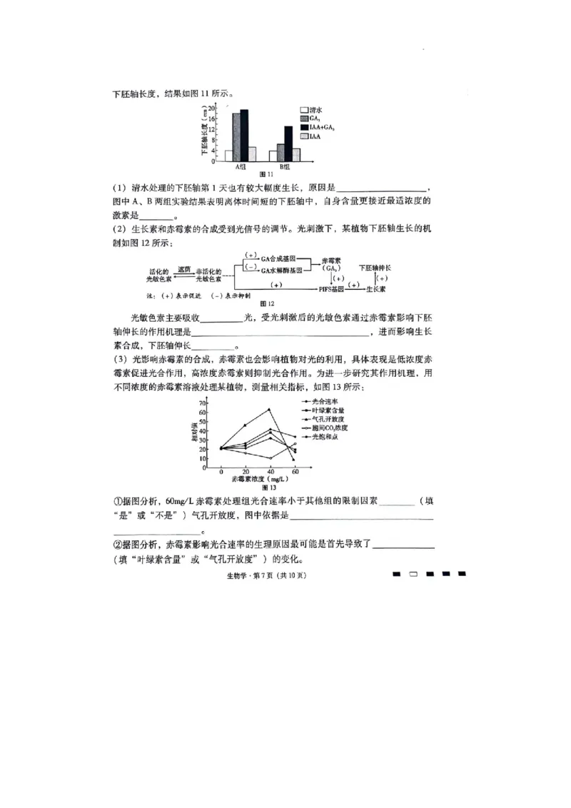 重庆市渝中区重庆市巴蜀中学校2023-2024学年高三下学期3月月考生物试题_2024年3月_013月合集_2024届重庆市巴蜀中学高三下学期适应性月考（七）