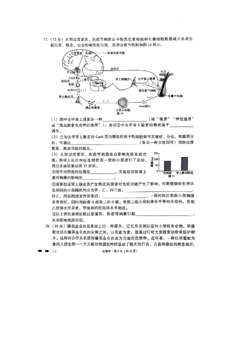 重庆市渝中区重庆市巴蜀中学校2023-2024学年高三下学期3月月考生物试题_2024年3月_013月合集_2024届重庆市巴蜀中学高三下学期适应性月考（七）