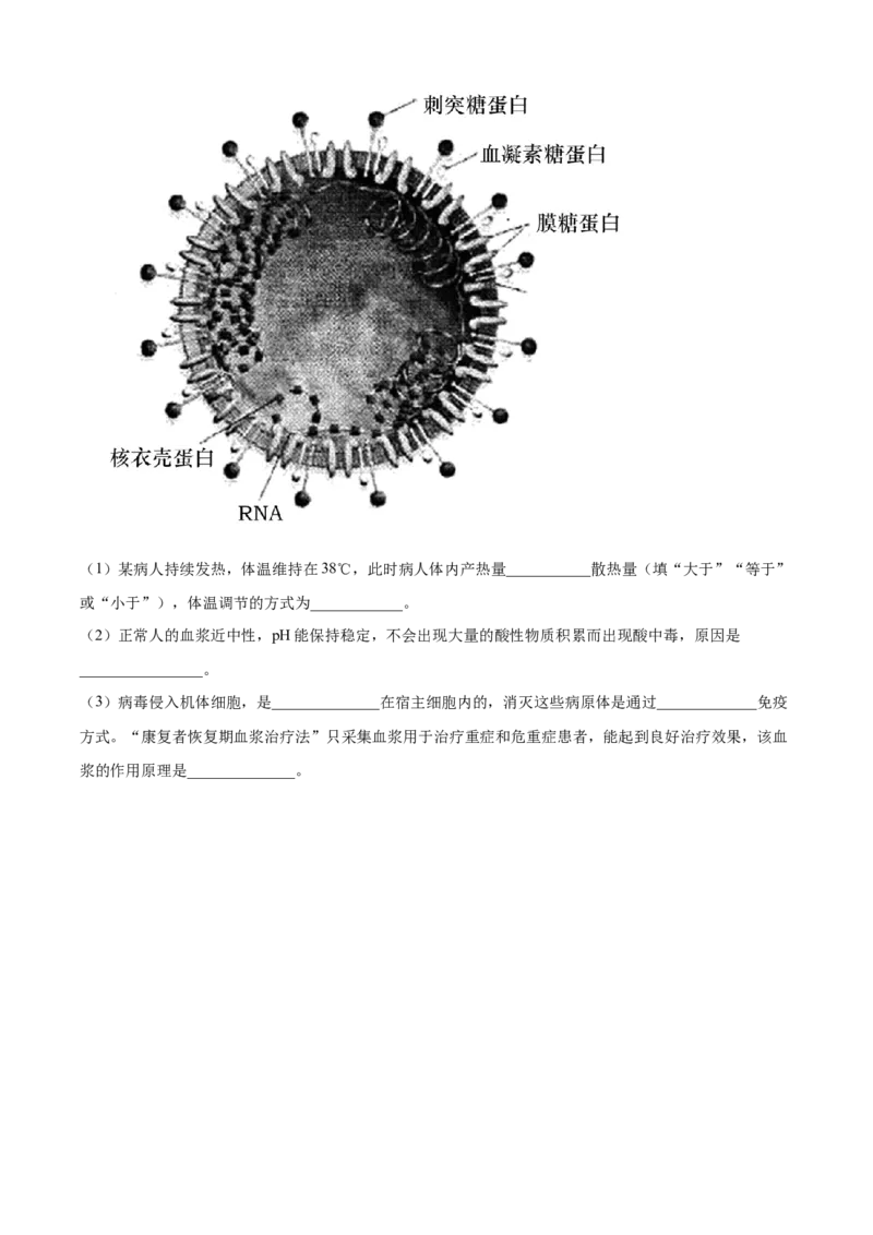 四川省泸州市龙马潭区2024-2025学年高二上学期11月期中生物试题Word版无答案_2024-2025高二（7-7月题库）_2024年12月试卷_1217四川省泸州市龙马潭区2024-2025学年高二上学期11月期中考试