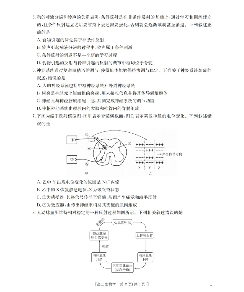 南阳地区2025年秋季高二年级上学期期中摸底考试卷（26-95B）生物_2025年11月高二试卷_251122金太阳&middot;河南省南阳市南阳地区2025年秋季高二年级上学期期中摸底考试卷（26-95B）（全）