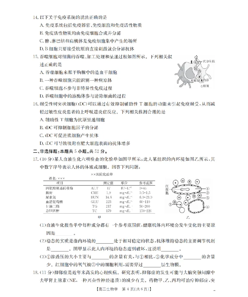 南阳地区2025年秋季高二年级上学期期中摸底考试卷（26-95B）生物_2025年11月高二试卷_251122金太阳&middot;河南省南阳市南阳地区2025年秋季高二年级上学期期中摸底考试卷（26-95B）（全）