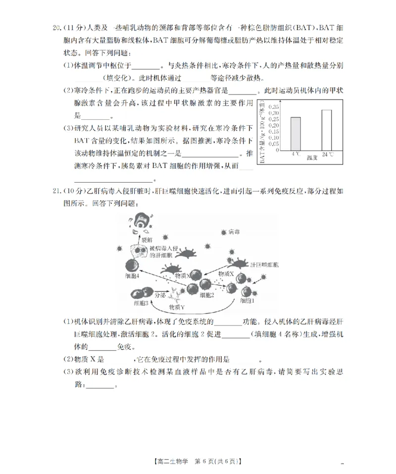 南阳地区2025年秋季高二年级上学期期中摸底考试卷（26-95B）生物_2025年11月高二试卷_251122金太阳&middot;河南省南阳市南阳地区2025年秋季高二年级上学期期中摸底考试卷（26-95B）（全）