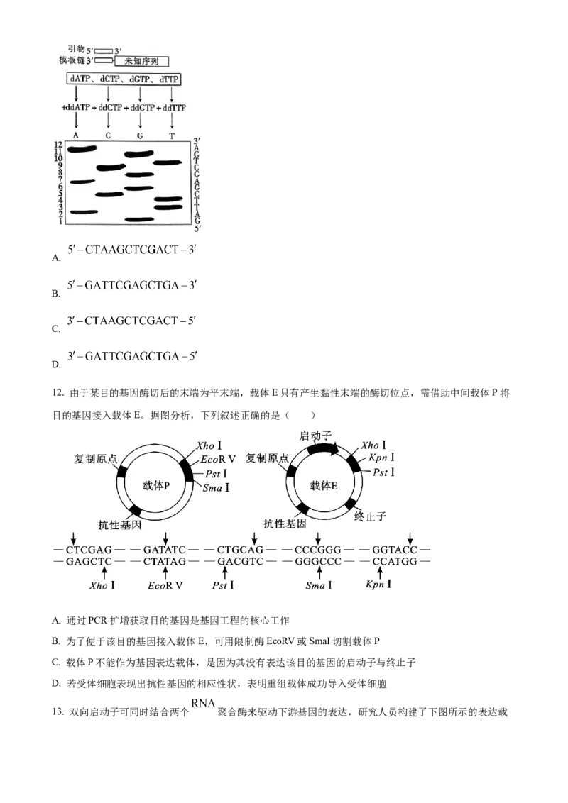 山东省菏泽市第一中学2024-2025学年高二下学期第一次月考生物试题（原卷版）_2024-2025高二（7-7月题库）_2025年04月试卷(1)_0426山东省菏泽市第一中学2024-2025学年高二下学期第一次月考