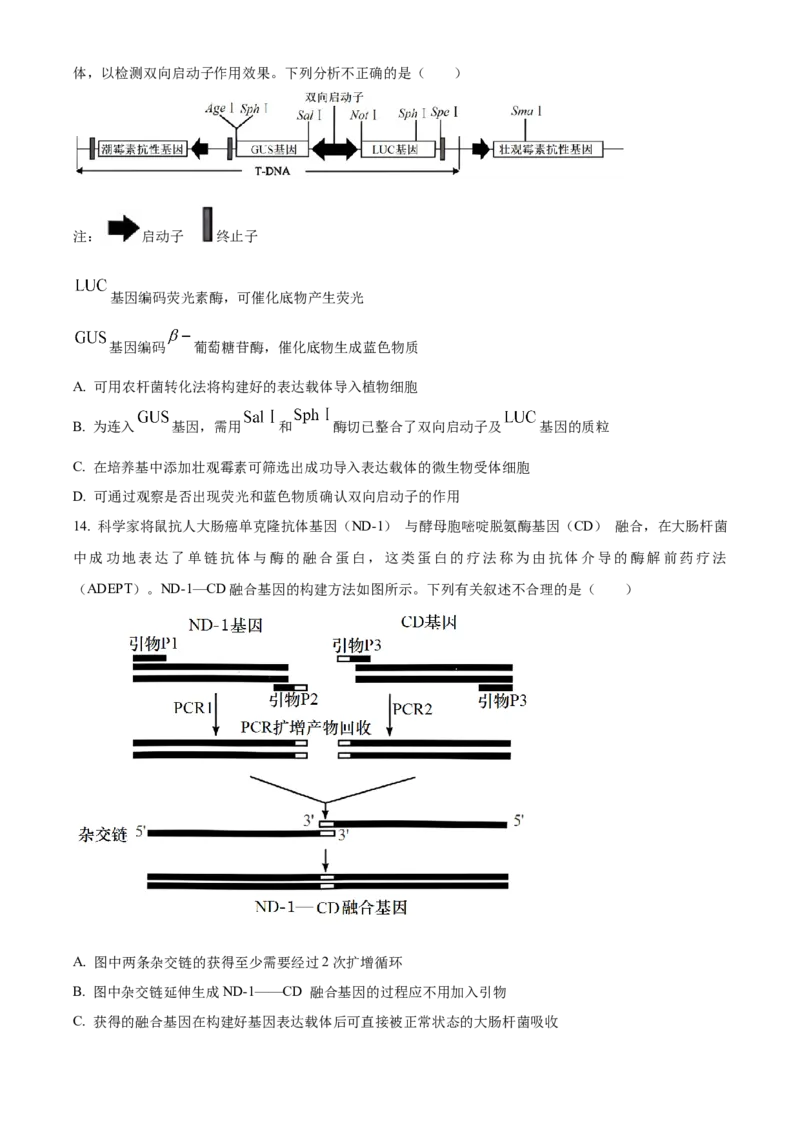 山东省菏泽市第一中学2024-2025学年高二下学期第一次月考生物试题（原卷版）_2024-2025高二（7-7月题库）_2025年04月试卷(1)_0426山东省菏泽市第一中学2024-2025学年高二下学期第一次月考
