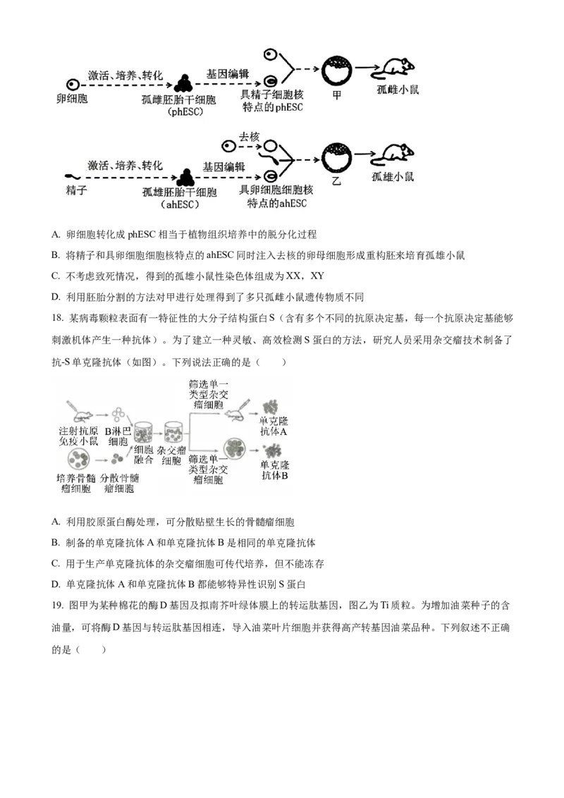 山东省菏泽市第一中学2024-2025学年高二下学期第一次月考生物试题（原卷版）_2024-2025高二（7-7月题库）_2025年04月试卷(1)_0426山东省菏泽市第一中学2024-2025学年高二下学期第一次月考