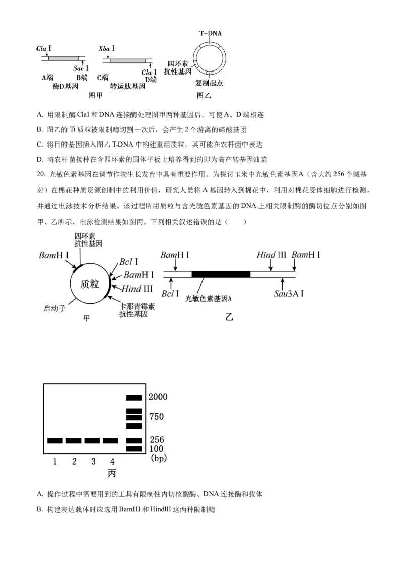 山东省菏泽市第一中学2024-2025学年高二下学期第一次月考生物试题（原卷版）_2024-2025高二（7-7月题库）_2025年04月试卷(1)_0426山东省菏泽市第一中学2024-2025学年高二下学期第一次月考