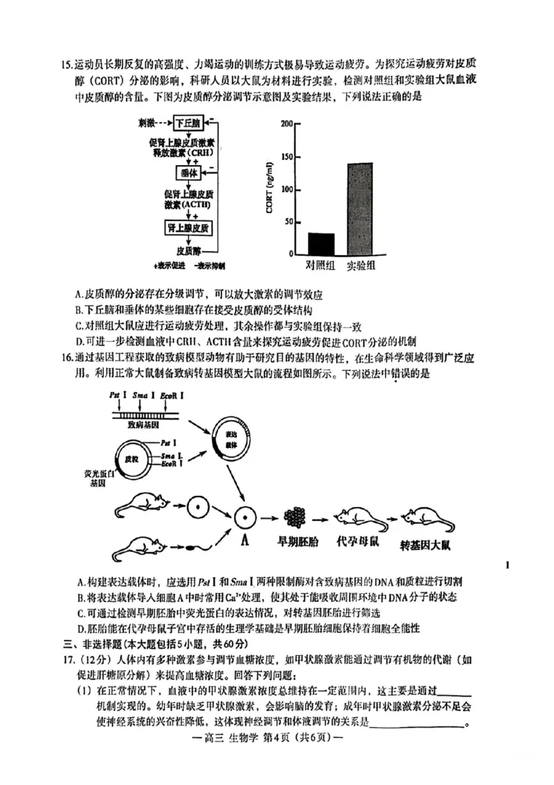 江西省南昌市2025届高三年级摸底测试（南昌零模）生物试卷+参考答案_2024-2025高三（6-6月题库）_2024年09月试卷_0908江西省南昌市2025届高三年级摸底测试（南昌零模）
