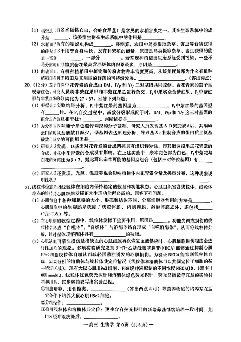 江西省南昌市2025届高三年级摸底测试（南昌零模）生物试卷+参考答案_2024-2025高三（6-6月题库）_2024年09月试卷_0908江西省南昌市2025届高三年级摸底测试（南昌零模）