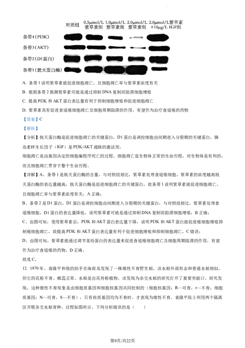 精品解析：福建省莆田市一中2023-2024学年高三上学期期中生物试题（解析版）(1)_2023年11月_0211月合集_2024届福建省莆田市一中高三上学期期中考试