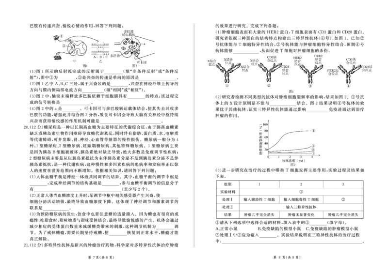 湖南省2024-2025学年高二上学期1月期末考试生物PDF版含解析_2024-2025高二（7-7月题库）_2025年01月试卷_0124湖南省2024-2025学年高二上学期1月期末考试