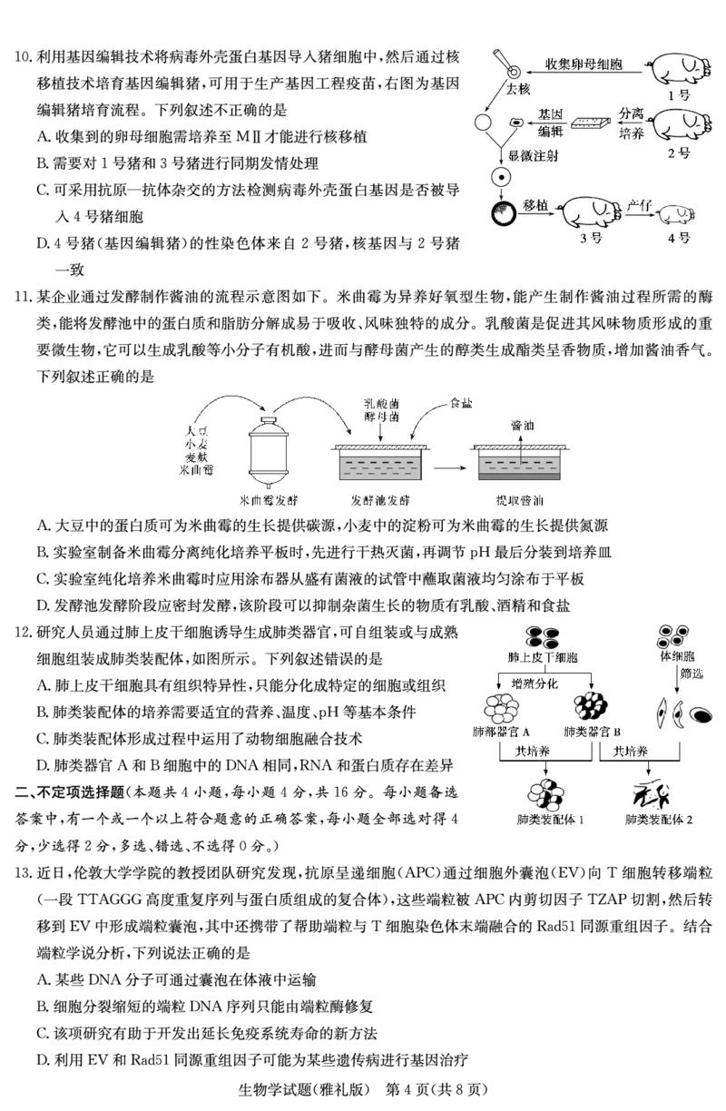生物演练（雅礼九次一模）_2024年5月_01按日期_8号_2024届湖南省长沙市雅礼中学高三下学期5月模拟（一）_2024届湖南省长沙市雅礼中学高三下学期模拟卷（一）生物试题