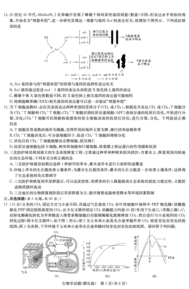 生物演练（雅礼九次一模）_2024年5月_01按日期_8号_2024届湖南省长沙市雅礼中学高三下学期5月模拟（一）_2024届湖南省长沙市雅礼中学高三下学期模拟卷（一）生物试题