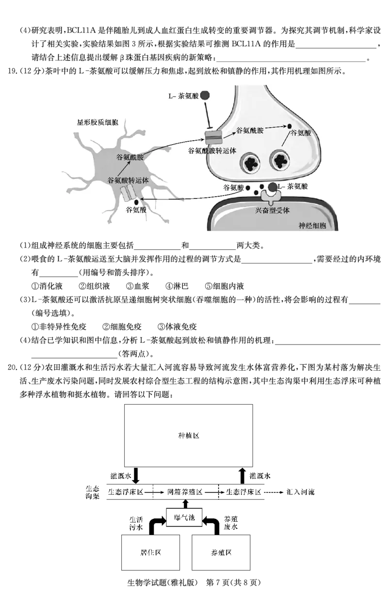 生物演练（雅礼九次一模）_2024年5月_01按日期_8号_2024届湖南省长沙市雅礼中学高三下学期5月模拟（一）_2024届湖南省长沙市雅礼中学高三下学期模拟卷（一）生物试题