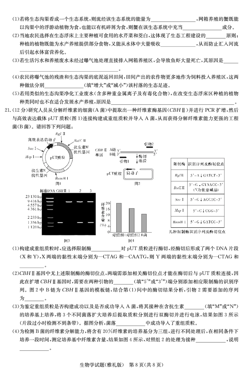 生物演练（雅礼九次一模）_2024年5月_01按日期_8号_2024届湖南省长沙市雅礼中学高三下学期5月模拟（一）_2024届湖南省长沙市雅礼中学高三下学期模拟卷（一）生物试题