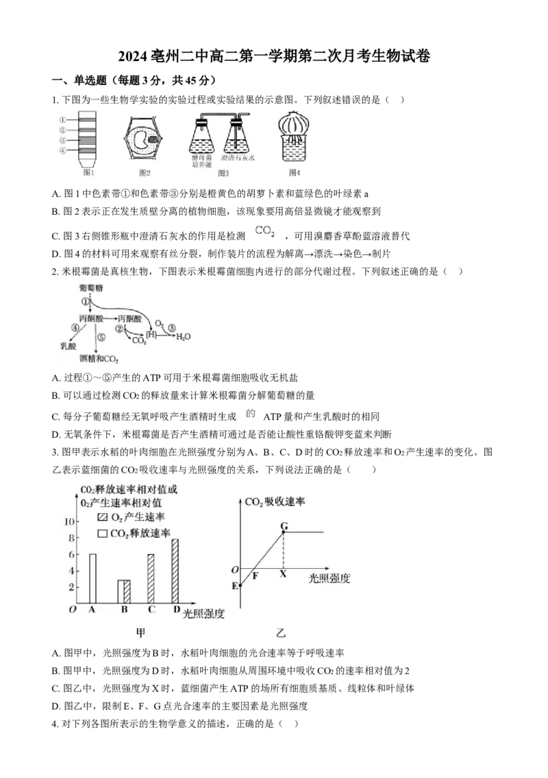安徽省亳州市第二完全中学2024&mdash;2025学年高二上学期12月月考生物试题Word版无答案_2024-2025高二（7-7月题库）_2025年01月试卷
