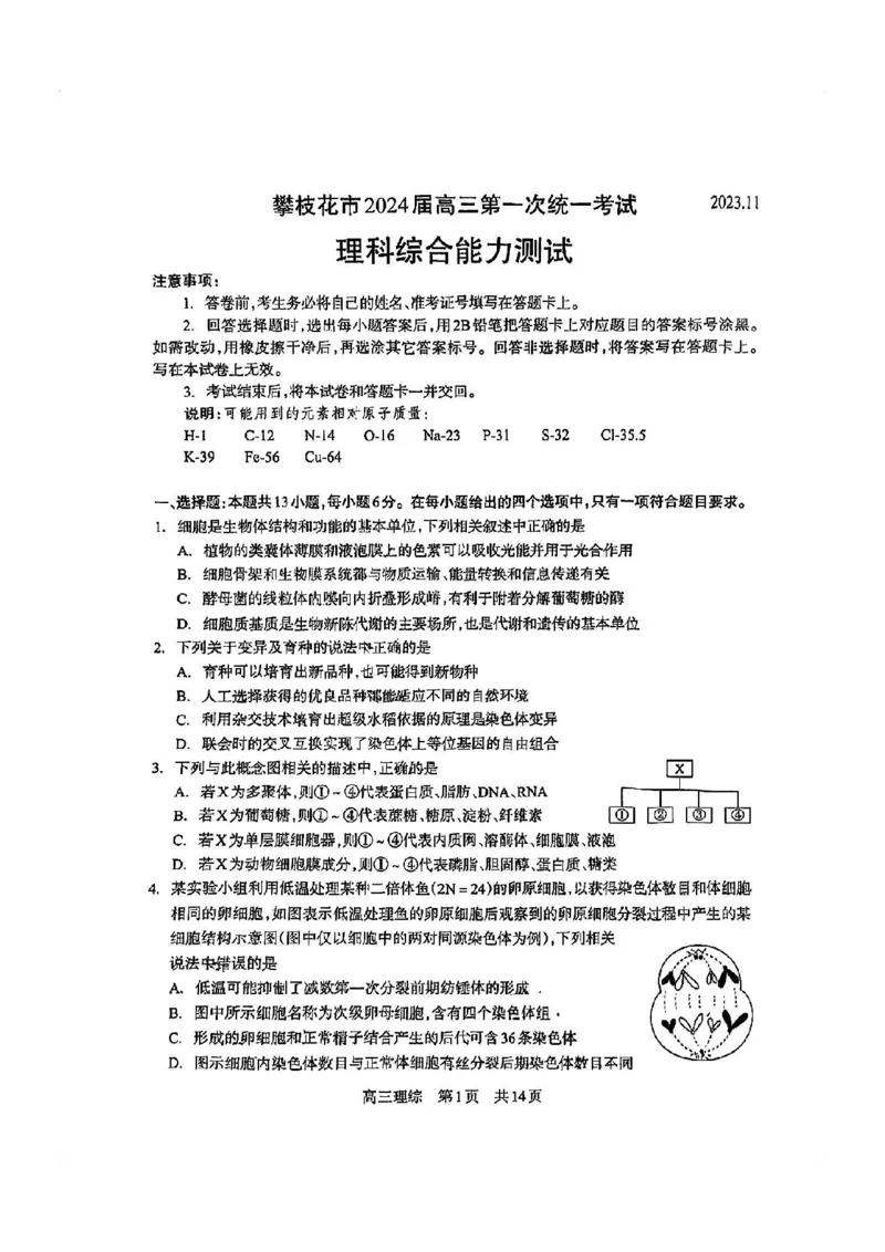 攀枝花市2024届高三第一次统一考试理综(1)_2023年11月_0211月合集_2024届四川省攀枝花市高三第一次统一考试_四川省攀枝花市2024届高三第一次统一考试理综