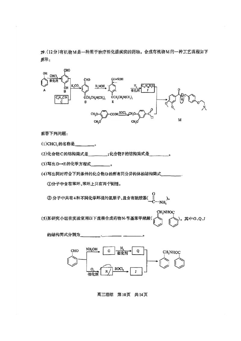 攀枝花市2024届高三第一次统一考试理综(1)_2023年11月_0211月合集_2024届四川省攀枝花市高三第一次统一考试_四川省攀枝花市2024届高三第一次统一考试理综