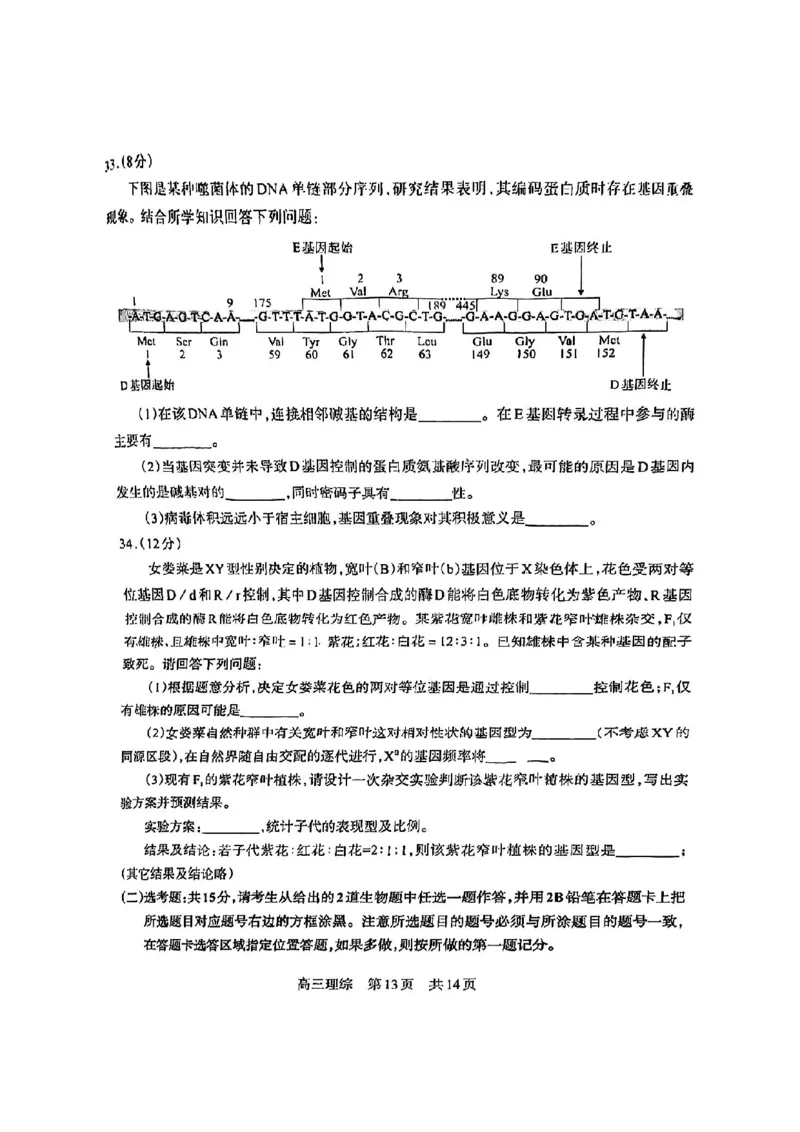 攀枝花市2024届高三第一次统一考试理综(1)_2023年11月_0211月合集_2024届四川省攀枝花市高三第一次统一考试_四川省攀枝花市2024届高三第一次统一考试理综