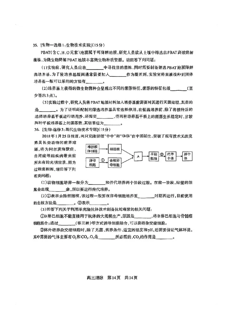 攀枝花市2024届高三第一次统一考试理综(1)_2023年11月_0211月合集_2024届四川省攀枝花市高三第一次统一考试_四川省攀枝花市2024届高三第一次统一考试理综