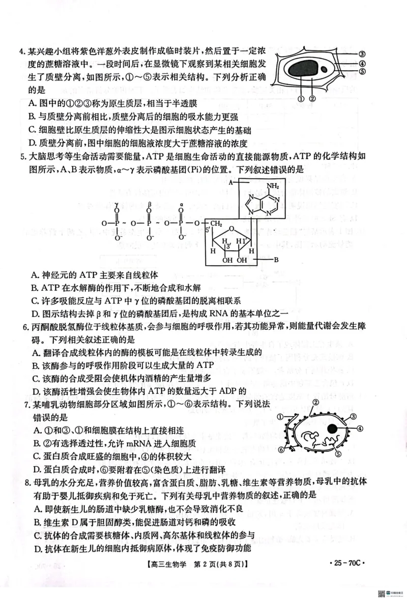 河北省邢台市质检联盟2024-2025学年高三上学期10月月考试题生物PDF版含答案_2024-2025高三（6-6月题库）_2024年10月试卷_1015河北省2024-2025学年高三(上)质检联盟第一次月考（金太阳25-70C）