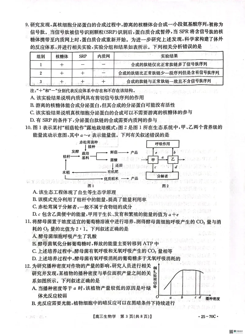 河北省邢台市质检联盟2024-2025学年高三上学期10月月考试题生物PDF版含答案_2024-2025高三（6-6月题库）_2024年10月试卷_1015河北省2024-2025学年高三(上)质检联盟第一次月考（金太阳25-70C）