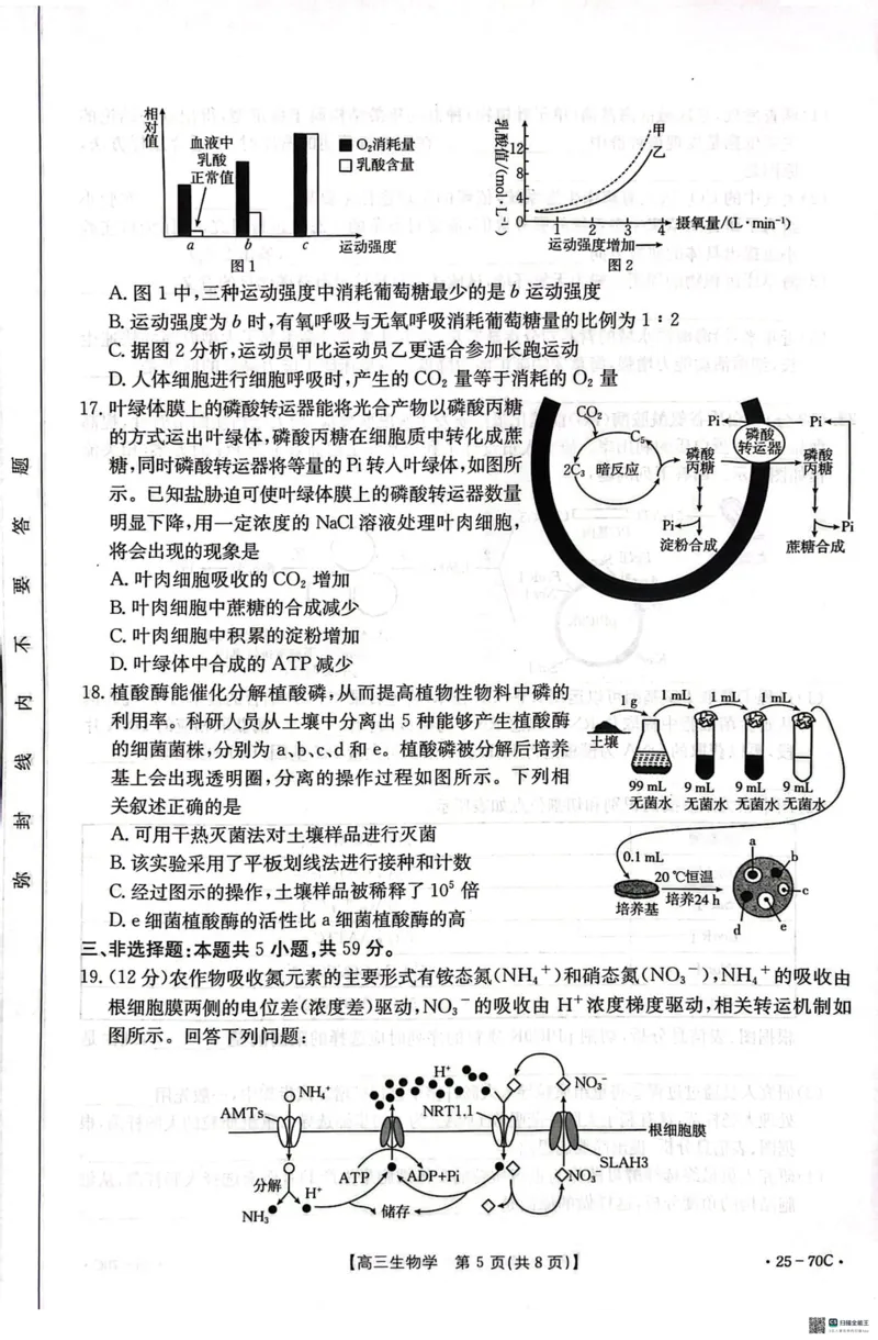 河北省邢台市质检联盟2024-2025学年高三上学期10月月考试题生物PDF版含答案_2024-2025高三（6-6月题库）_2024年10月试卷_1015河北省2024-2025学年高三(上)质检联盟第一次月考（金太阳25-70C）
