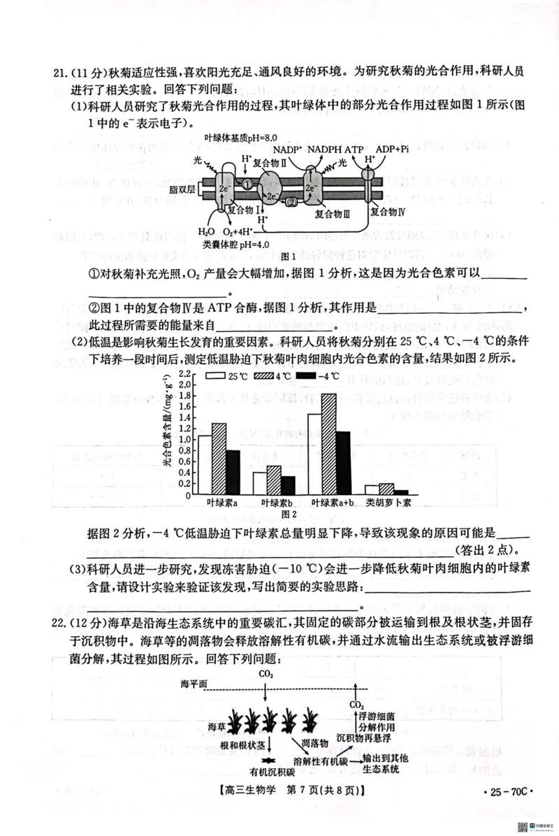 河北省邢台市质检联盟2024-2025学年高三上学期10月月考试题生物PDF版含答案_2024-2025高三（6-6月题库）_2024年10月试卷_1015河北省2024-2025学年高三(上)质检联盟第一次月考（金太阳25-70C）
