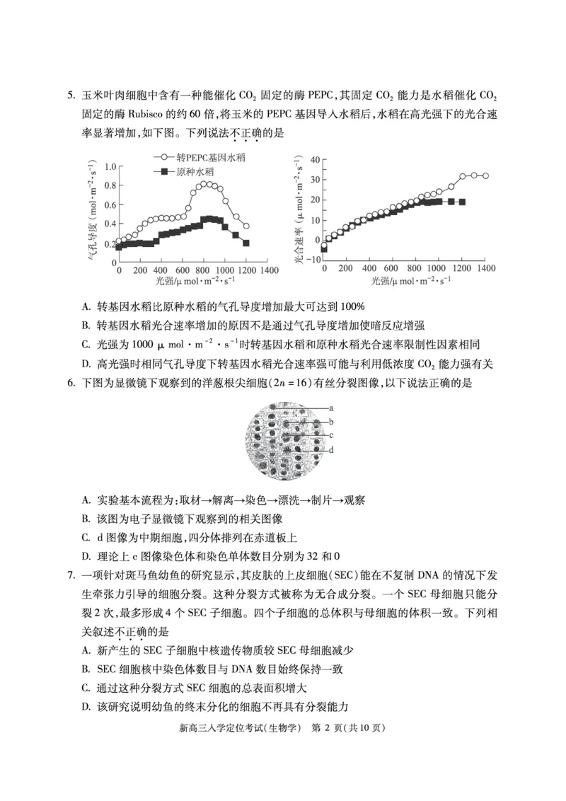 北京市2024-2025学年高三上学期入学定位考试生物试题_2024-2025高三（6-6月题库）_2024年09月试卷_0909北京市2024-2025学年高三上学期入学定位考试
