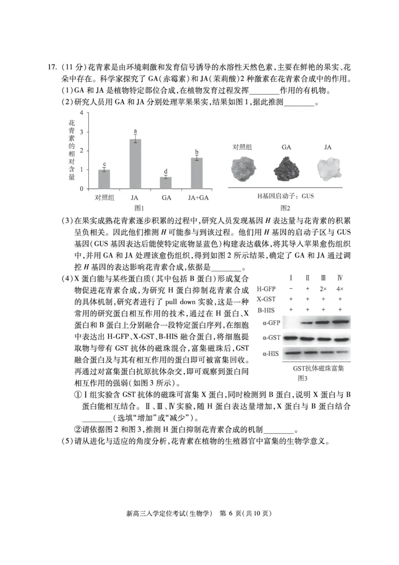 北京市2024-2025学年高三上学期入学定位考试生物试题_2024-2025高三（6-6月题库）_2024年09月试卷_0909北京市2024-2025学年高三上学期入学定位考试