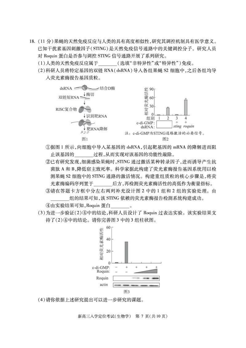 北京市2024-2025学年高三上学期入学定位考试生物试题_2024-2025高三（6-6月题库）_2024年09月试卷_0909北京市2024-2025学年高三上学期入学定位考试