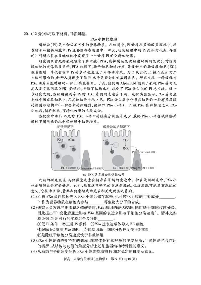 北京市2024-2025学年高三上学期入学定位考试生物试题_2024-2025高三（6-6月题库）_2024年09月试卷_0909北京市2024-2025学年高三上学期入学定位考试