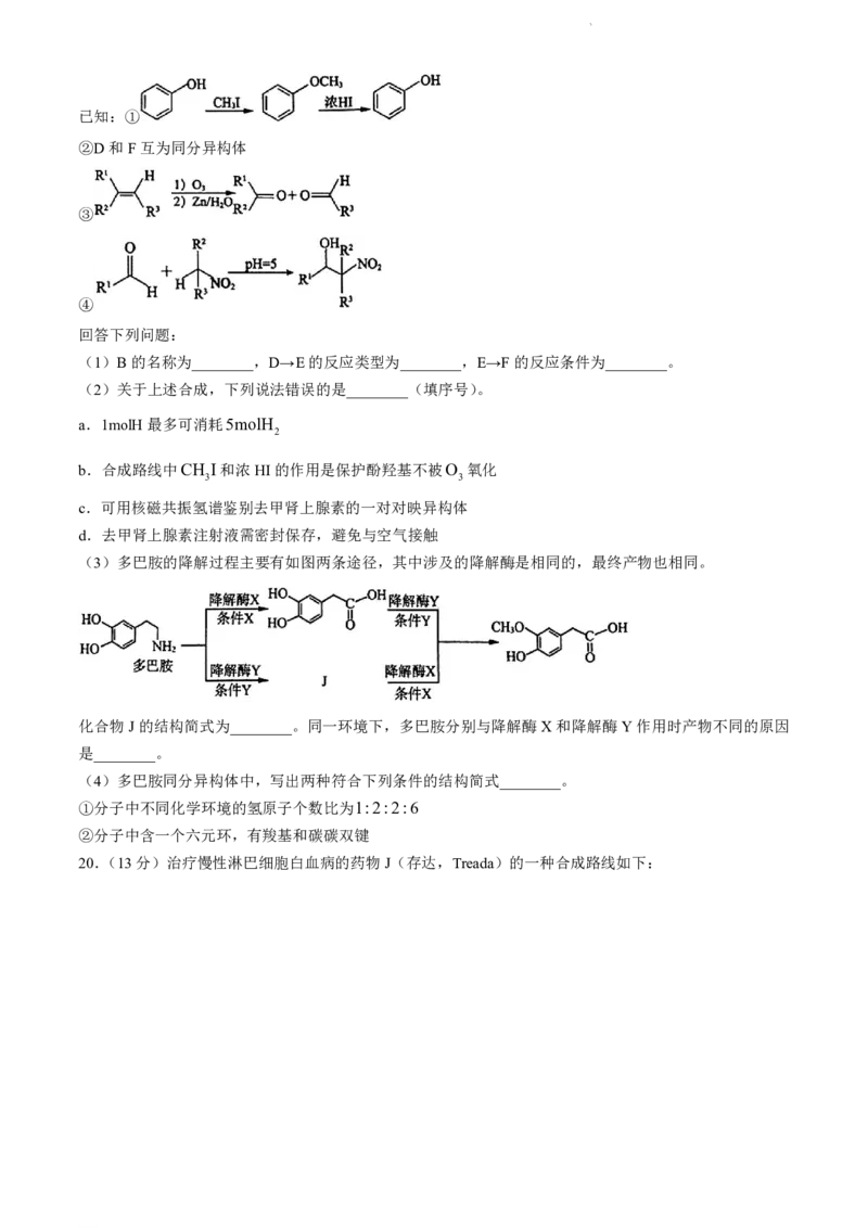 山东省济南市2023-2024学年高二下学期7月期末学习质量检测化学试题(无答案)_2024-2025高二（7-7月题库）_2024年07月试卷_0723山东省济南市2025届高二下学期期末考试