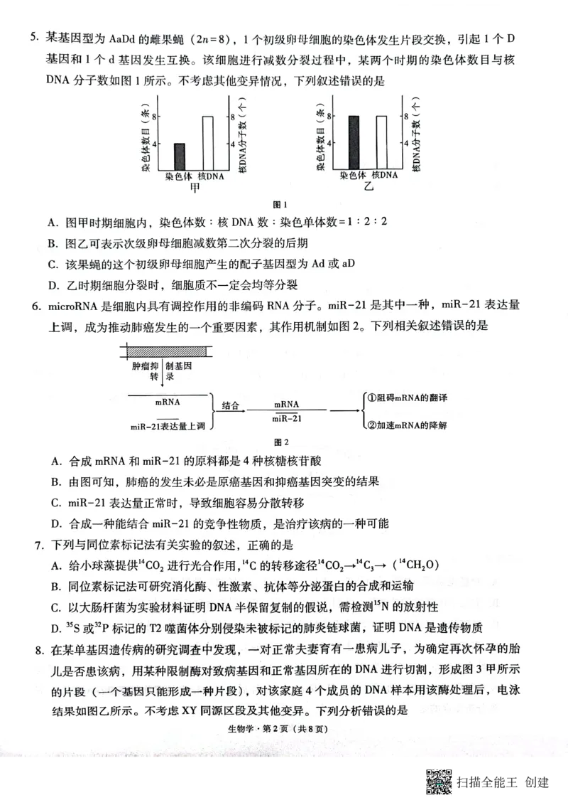 云南省昭通市2025届高三上学期1月毕业生诊断性检测生物_2024-2025高三（6-6月题库）_2025年02月试卷_0201云南省昭通市2025届高三上学期1月毕业生诊断性检测（全科）