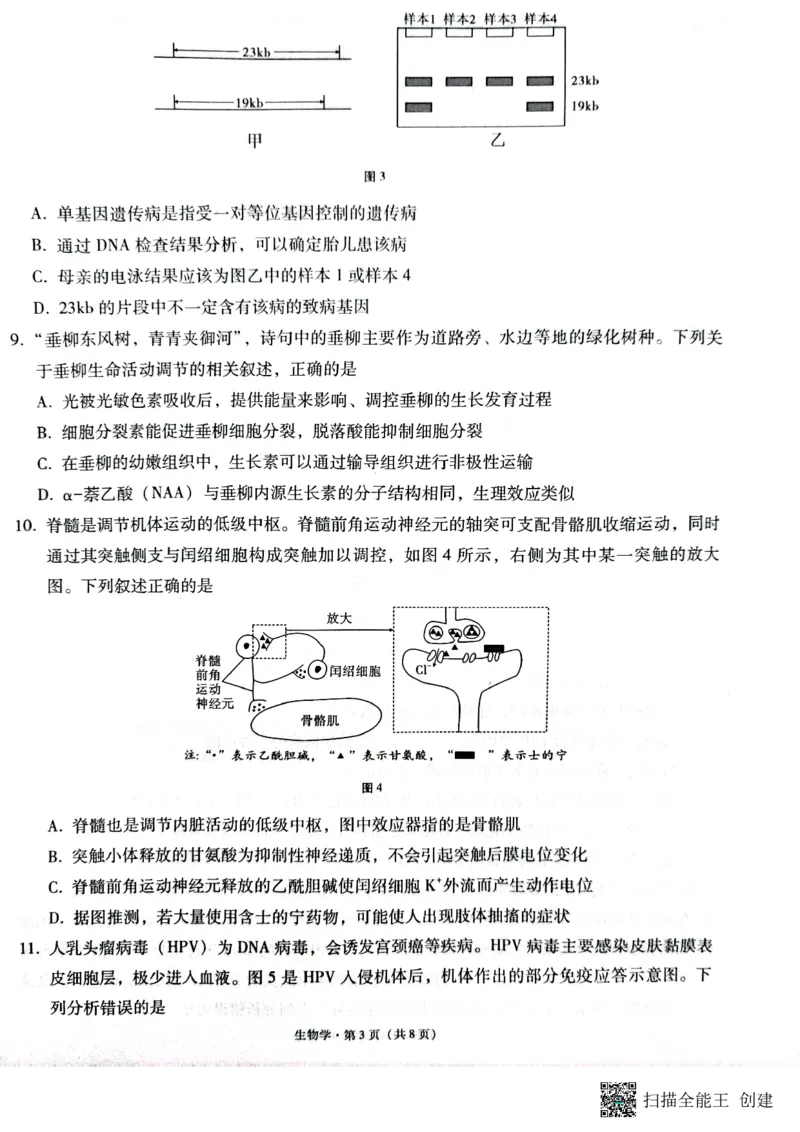 云南省昭通市2025届高三上学期1月毕业生诊断性检测生物_2024-2025高三（6-6月题库）_2025年02月试卷_0201云南省昭通市2025届高三上学期1月毕业生诊断性检测（全科）