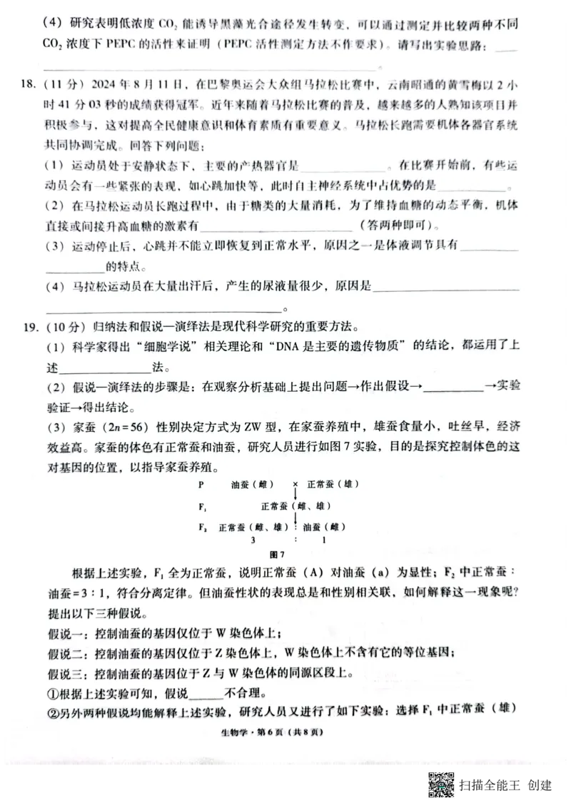 云南省昭通市2025届高三上学期1月毕业生诊断性检测生物_2024-2025高三（6-6月题库）_2025年02月试卷_0201云南省昭通市2025届高三上学期1月毕业生诊断性检测（全科）