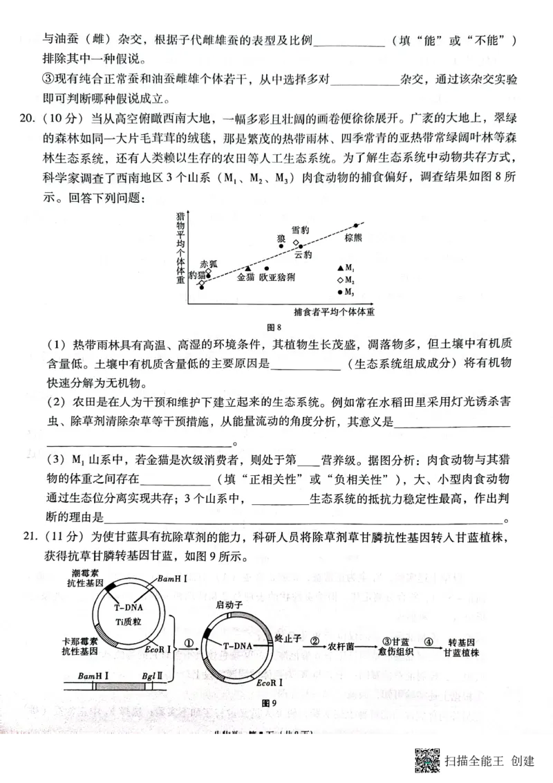 云南省昭通市2025届高三上学期1月毕业生诊断性检测生物_2024-2025高三（6-6月题库）_2025年02月试卷_0201云南省昭通市2025届高三上学期1月毕业生诊断性检测（全科）