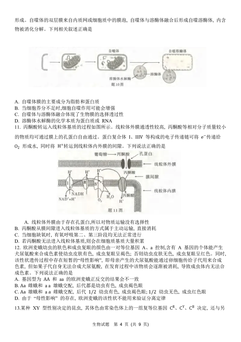 重庆市南开中学高2024届高三第三次质量检测生物试题_2023年11月_01每日更新_05号_2024届重庆市南开中学高三第三次质量检测_重庆市南开中学高2024届高三第三次质量检测生物