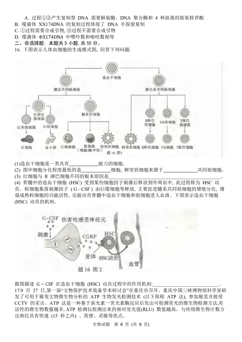 重庆市南开中学高2024届高三第三次质量检测生物试题_2023年11月_01每日更新_05号_2024届重庆市南开中学高三第三次质量检测_重庆市南开中学高2024届高三第三次质量检测生物