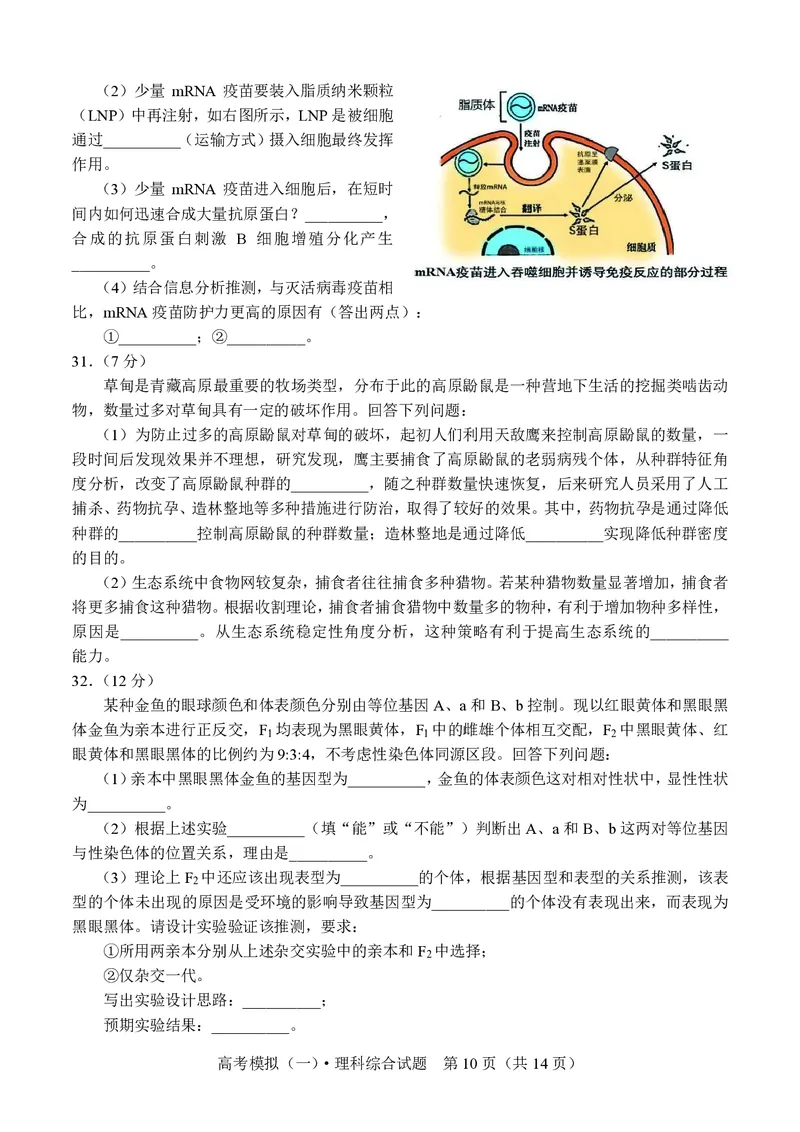理综试卷_2024年4月_01按日期_6号_2024届四川省成都外国语学校高三下学期高考模拟（一）_2024届四川省成都外国语学校高三下学期高考模拟（一）考试理综试题
