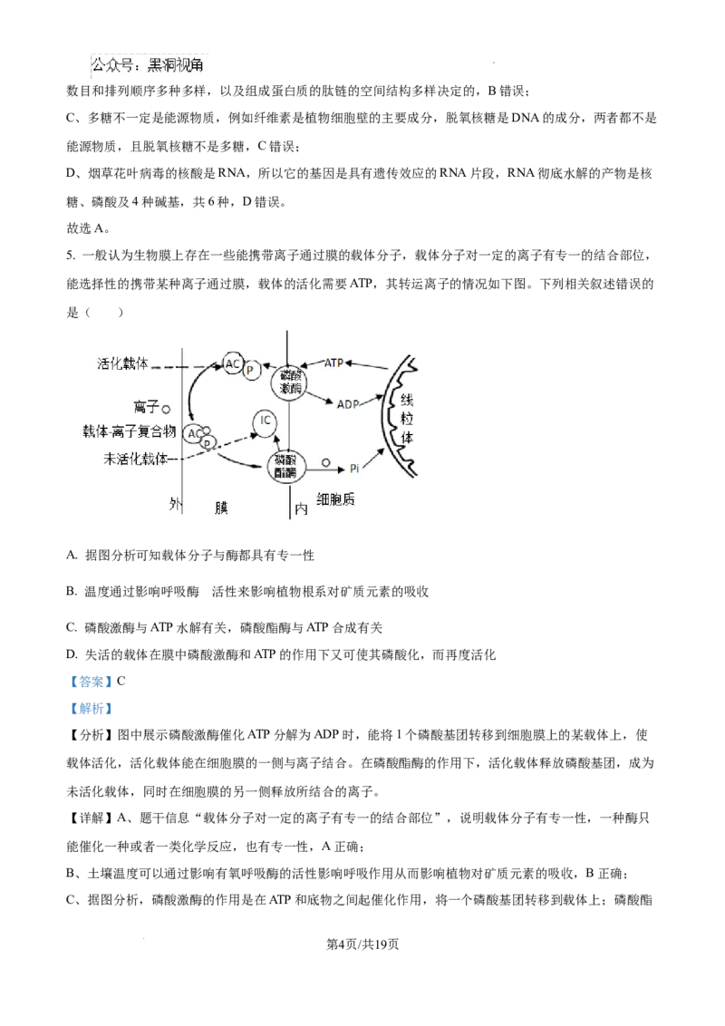 安徽省六安市第二中学2024-2025学年高三上学期10月月考生物答案_2024-2025高三（6-6月题库）_2024年10月试卷_1025安徽省六安市第二中学2024-2025学年高三上学期10月月考