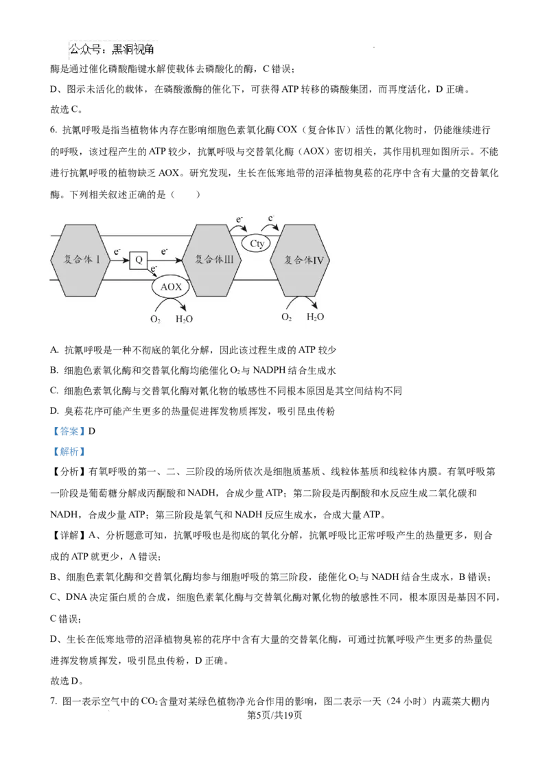 安徽省六安市第二中学2024-2025学年高三上学期10月月考生物答案_2024-2025高三（6-6月题库）_2024年10月试卷_1025安徽省六安市第二中学2024-2025学年高三上学期10月月考