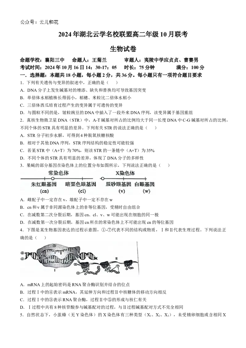 湖北省云学名校联盟2024-2025学年高二上学期10月联考生物试题Word版含答案_2024-2025高二（7-7月题库）_2024年10月试卷_1029湖北省云学部分重点高中2024-2025学年高二上学期10月月考