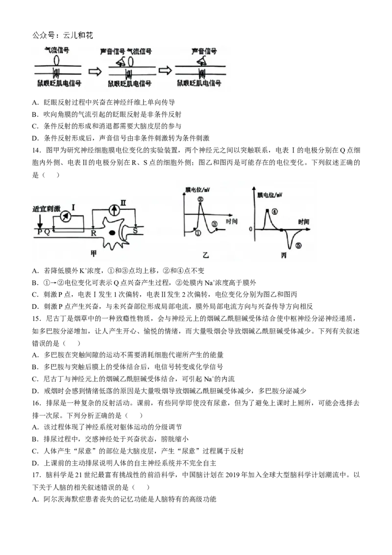 湖北省云学名校联盟2024-2025学年高二上学期10月联考生物试题Word版含答案_2024-2025高二（7-7月题库）_2024年10月试卷_1029湖北省云学部分重点高中2024-2025学年高二上学期10月月考
