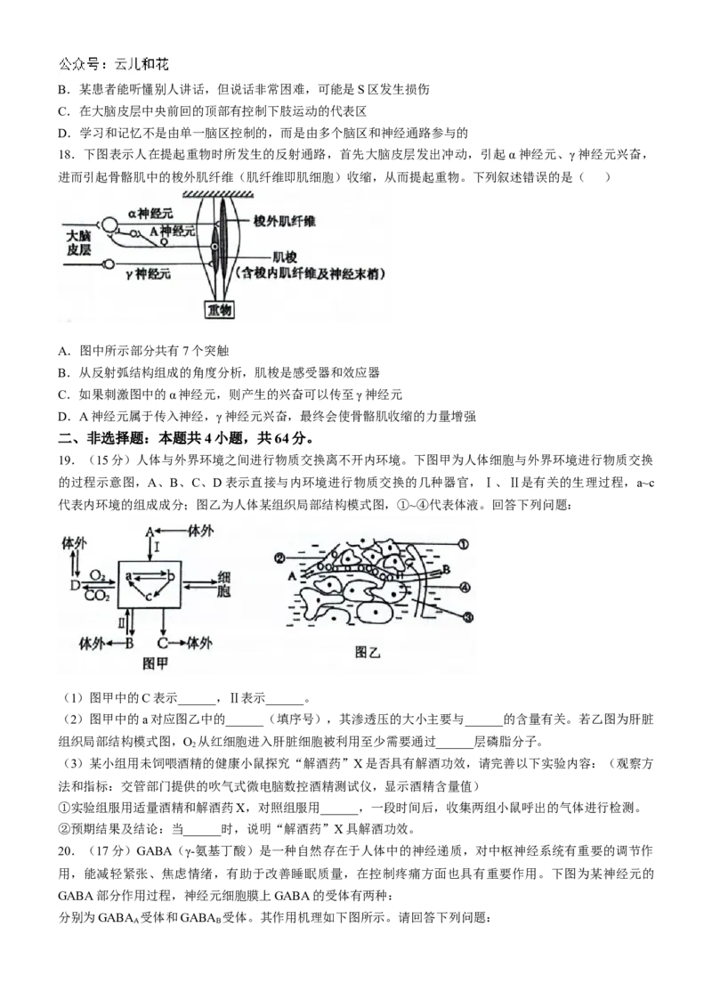 湖北省云学名校联盟2024-2025学年高二上学期10月联考生物试题Word版含答案_2024-2025高二（7-7月题库）_2024年10月试卷_1029湖北省云学部分重点高中2024-2025学年高二上学期10月月考