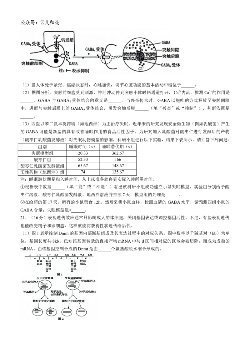 湖北省云学名校联盟2024-2025学年高二上学期10月联考生物试题Word版含答案_2024-2025高二（7-7月题库）_2024年10月试卷_1029湖北省云学部分重点高中2024-2025学年高二上学期10月月考