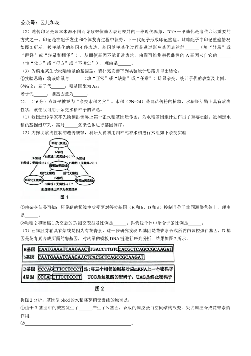 湖北省云学名校联盟2024-2025学年高二上学期10月联考生物试题Word版含答案_2024-2025高二（7-7月题库）_2024年10月试卷_1029湖北省云学部分重点高中2024-2025学年高二上学期10月月考