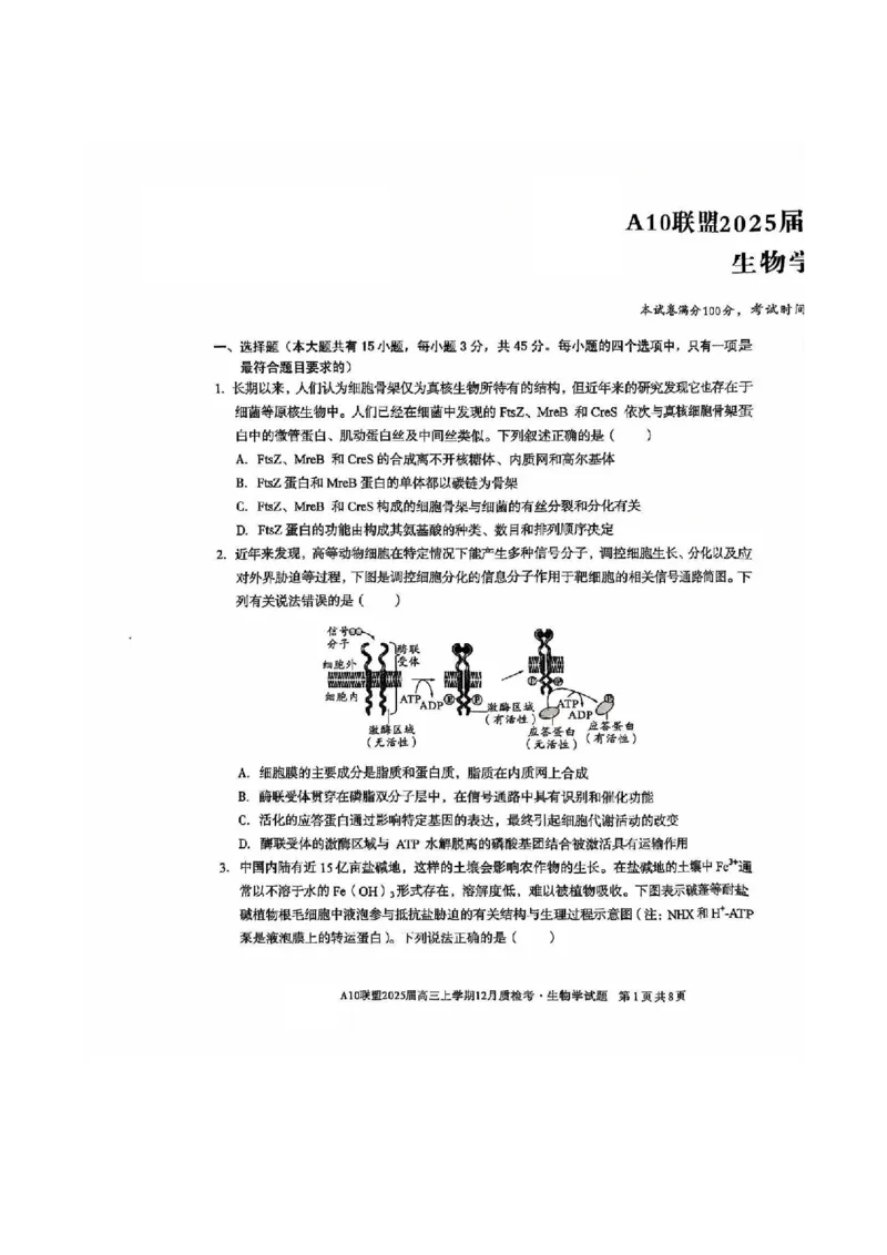 安徽省1号卷A10联盟2025届高三上学期12月质检考生物_2024-2025高三（6-6月题库）_2024年12月试卷_1221安徽1号卷A10联盟2025届高三上学期12月质检考