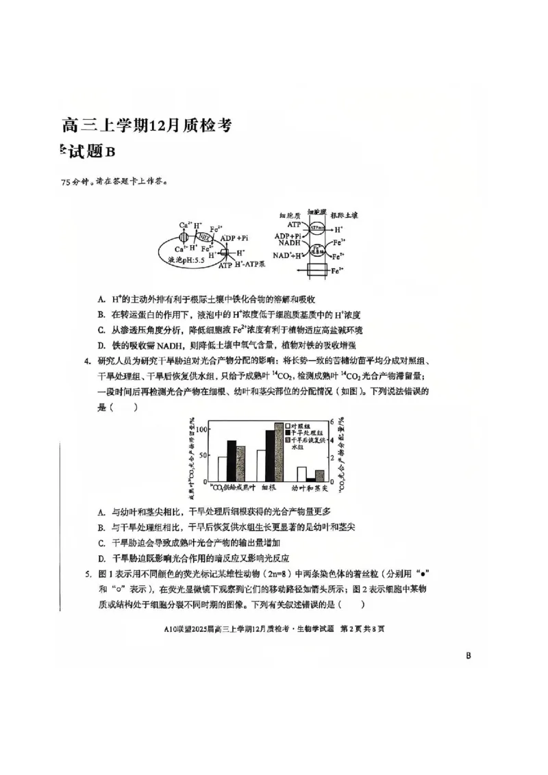 安徽省1号卷A10联盟2025届高三上学期12月质检考生物_2024-2025高三（6-6月题库）_2024年12月试卷_1221安徽1号卷A10联盟2025届高三上学期12月质检考