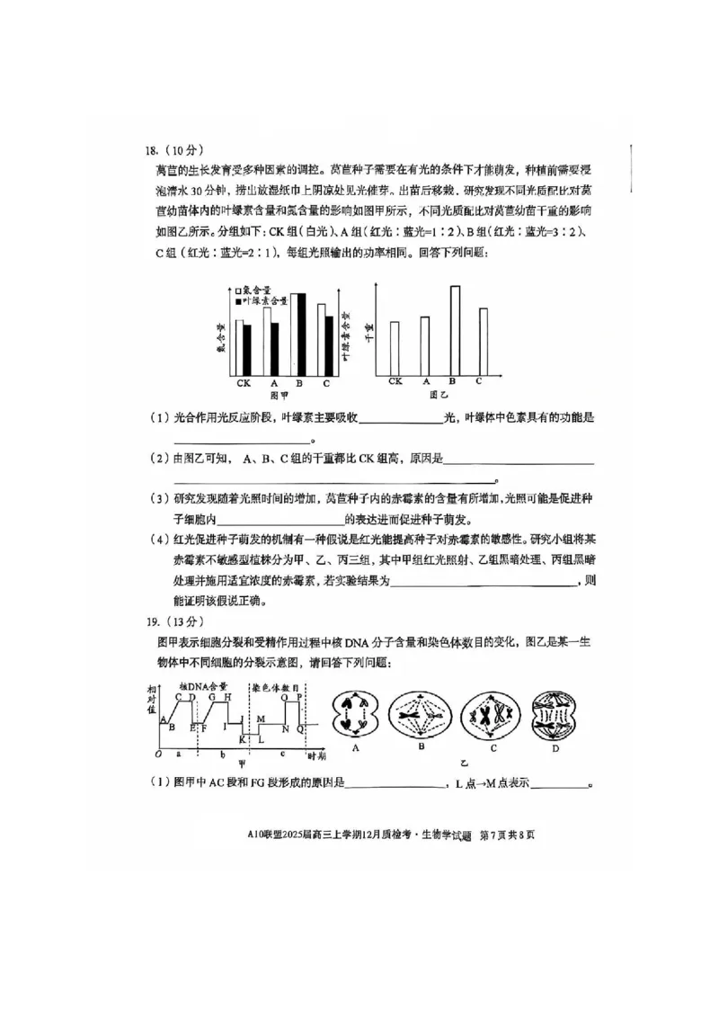 安徽省1号卷A10联盟2025届高三上学期12月质检考生物_2024-2025高三（6-6月题库）_2024年12月试卷_1221安徽1号卷A10联盟2025届高三上学期12月质检考