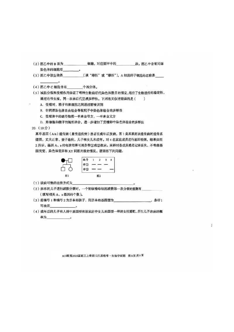 安徽省1号卷A10联盟2025届高三上学期12月质检考生物_2024-2025高三（6-6月题库）_2024年12月试卷_1221安徽1号卷A10联盟2025届高三上学期12月质检考